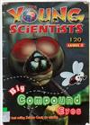 The Young Scientists: Big Compound Eyes